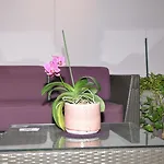 Bel'espérance 3* Genève
